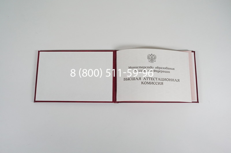 Диплом доктора наук 1995-2006 года в Иваново Диплом доктора наук 1995-2006 года в Иваново