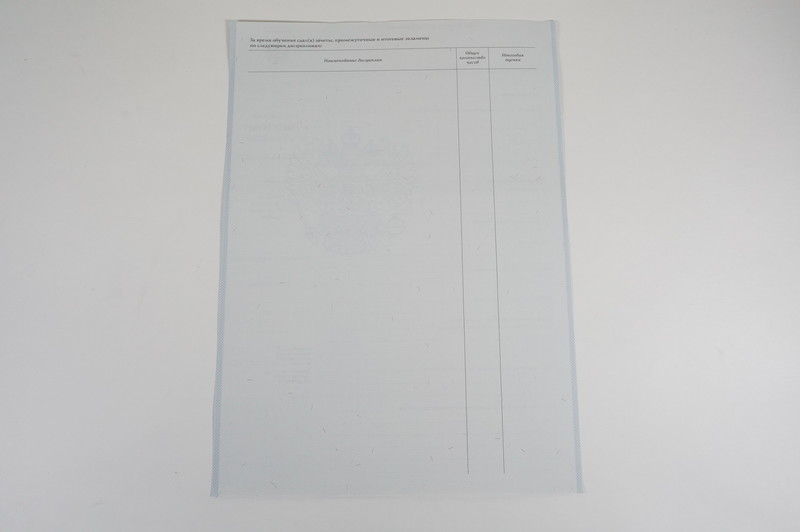 Диплом о начальном образовании 2007-2009 годов в Иваново Диплом о начальном образовании 2007-2009 годов в Иваново